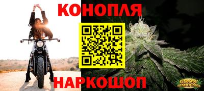 ешки Новозыбков